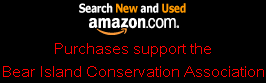 Amazon Logo